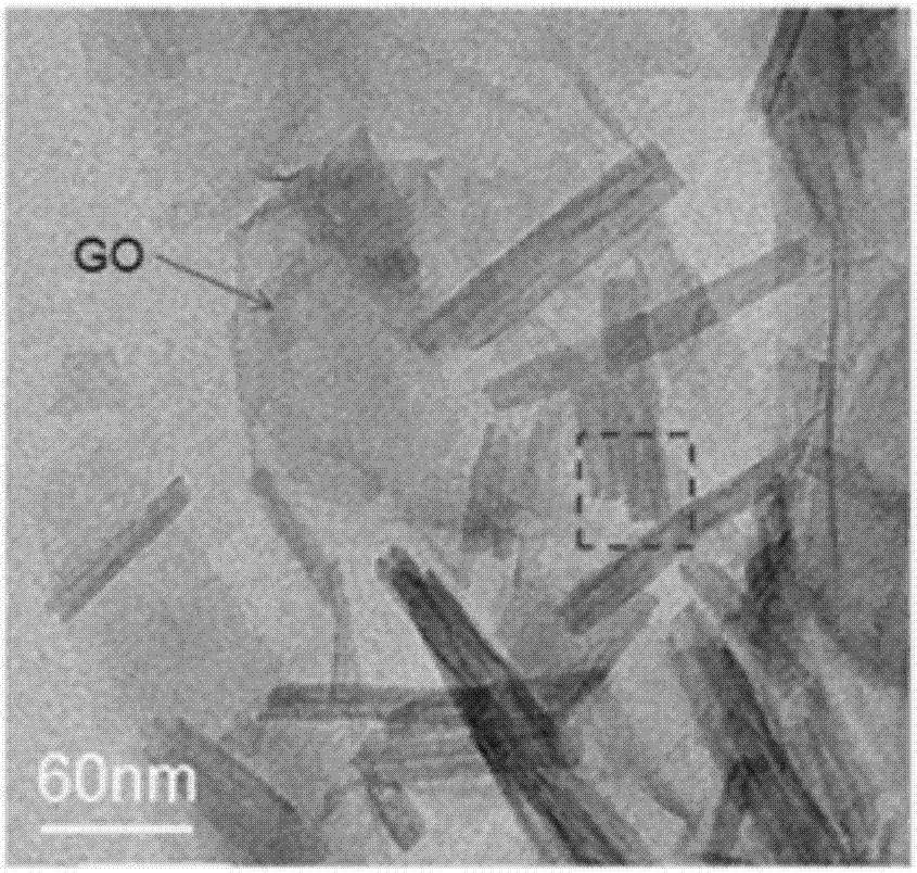 Method for preparing Fe/N co-doped-TNTs (TiO2 nano-tubes)-reduced graphene oxide composite catalysts