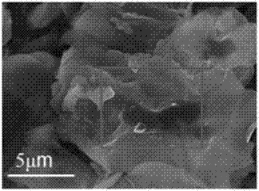 Method for preparing Fe/N co-doped-TNTs (TiO2 nano-tubes)-reduced graphene oxide composite catalysts