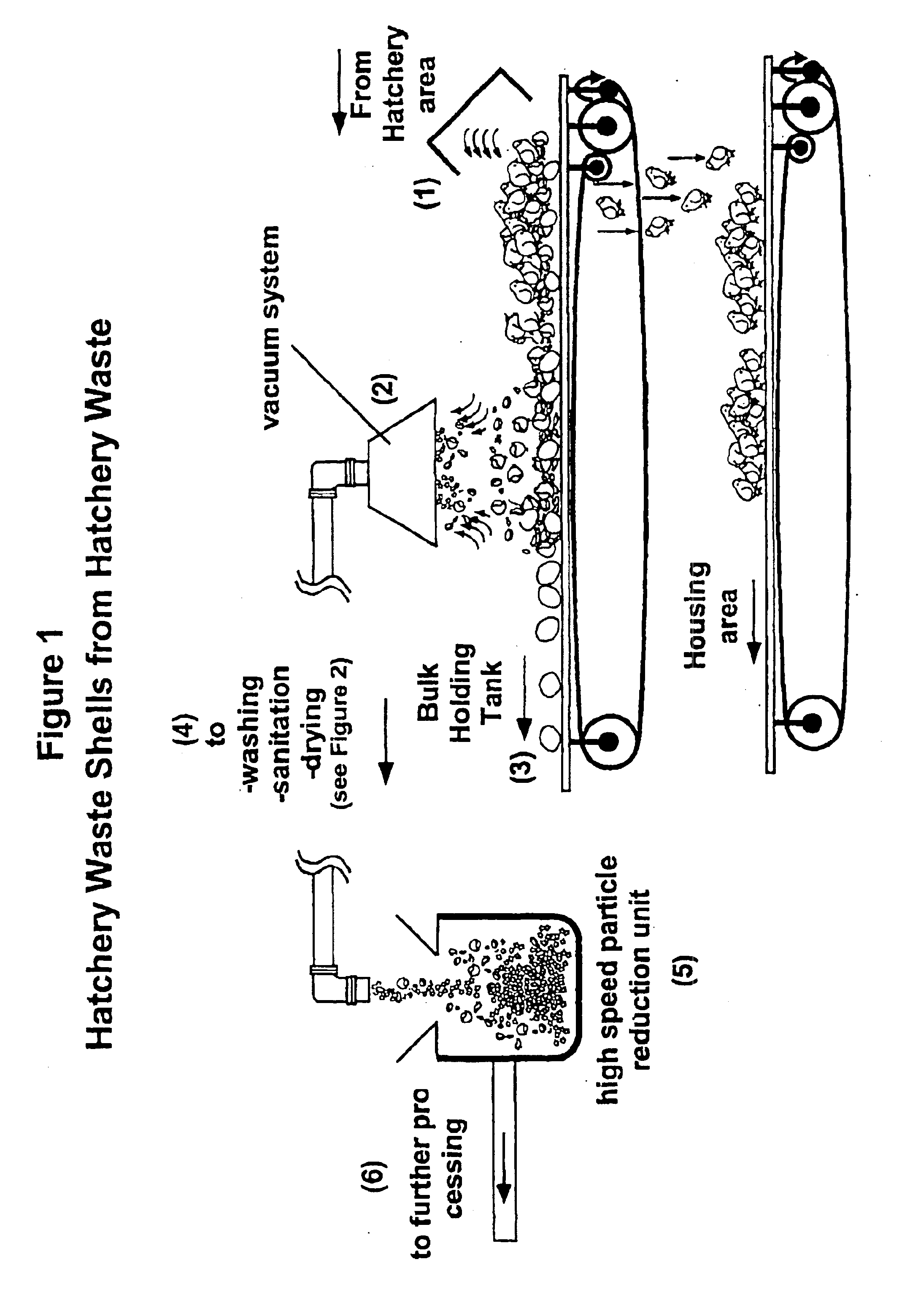 Hatchery eggshell waste processing method and device