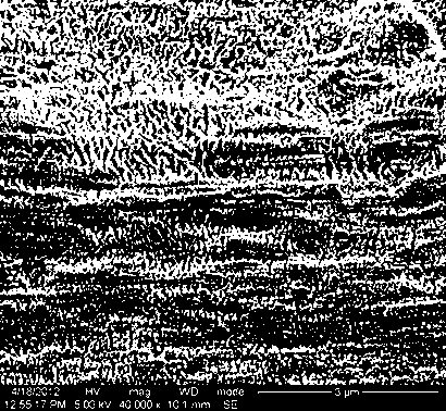 Irradiation crosslinked polyethylene blending material for artificial joints and preparation method thereof