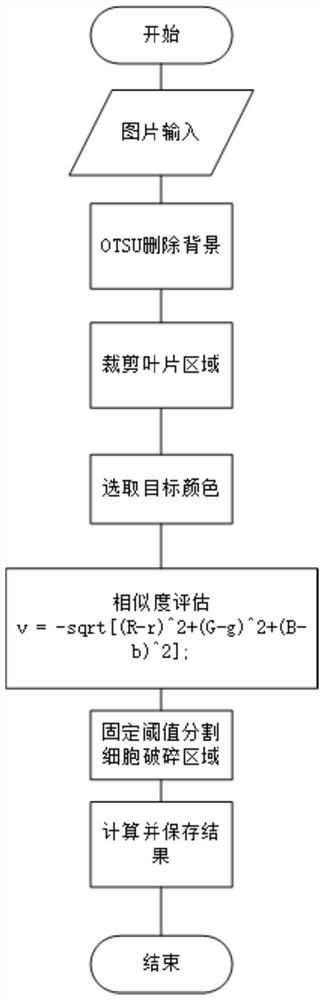 Method for detecting cell breakage rate of rolled leaves