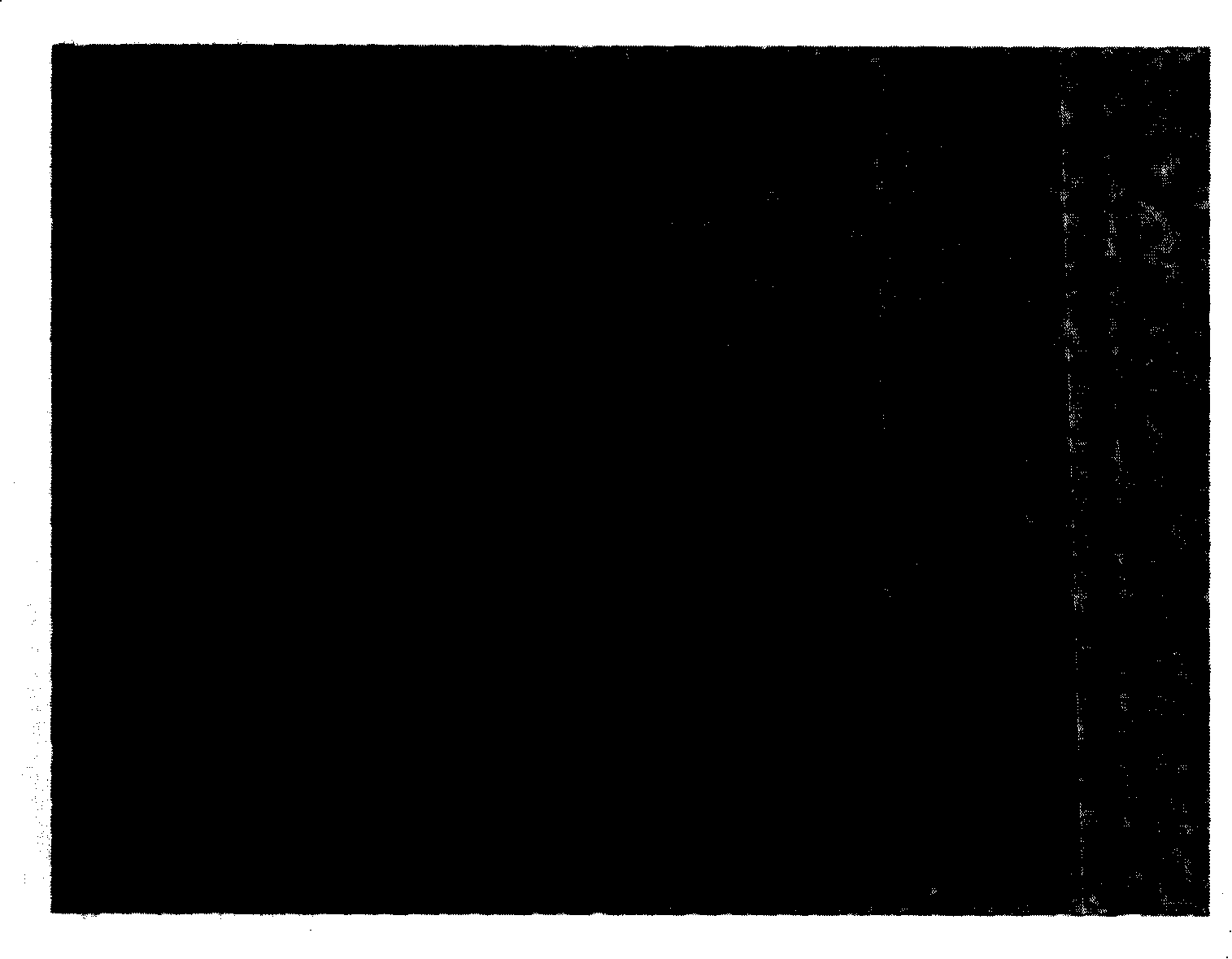 Heat-preserving heat-insulating composite material for exterior wall of buildings and construction method thereof