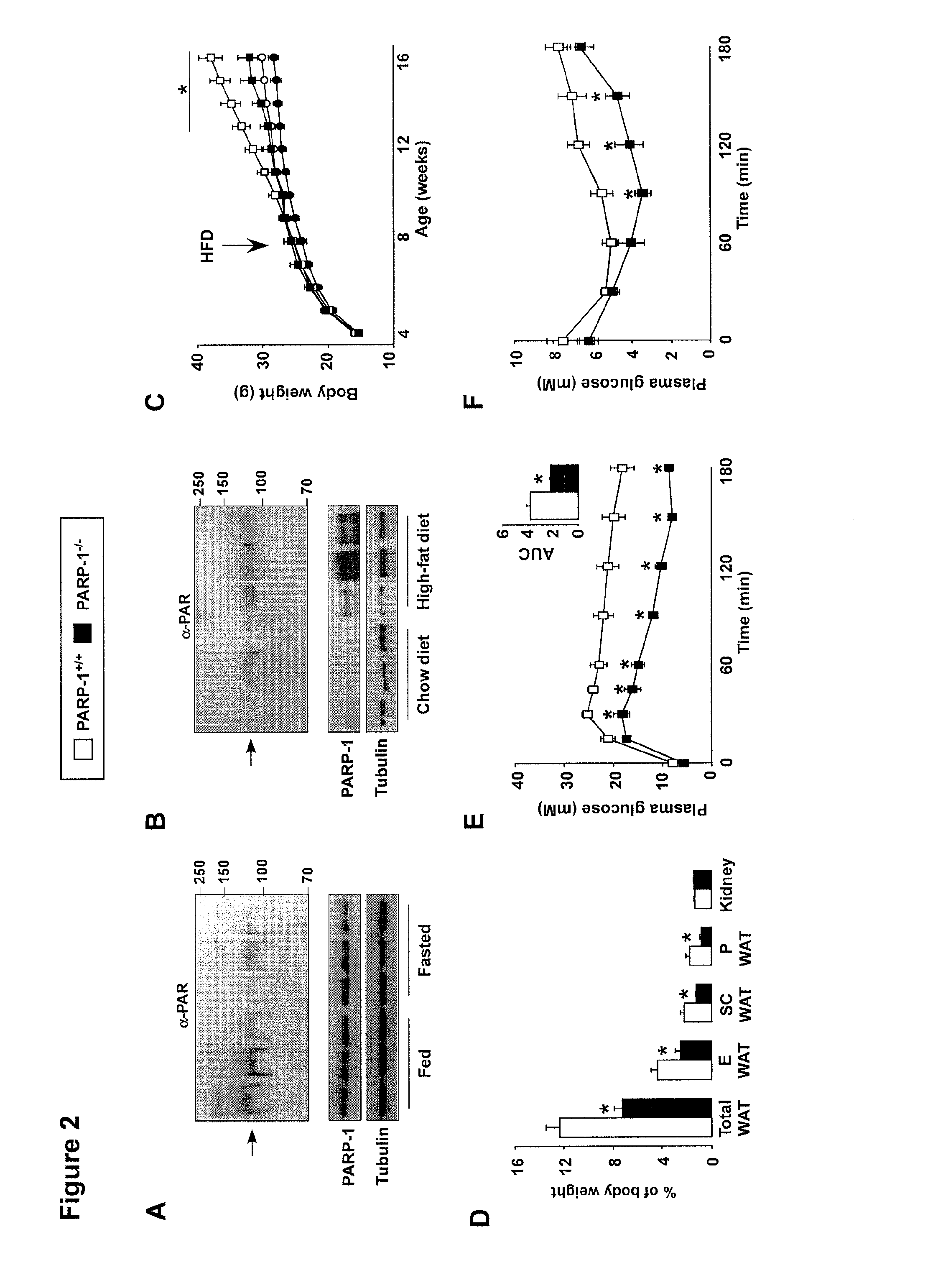 Methods of Treating Mitochondrial Dysfunction