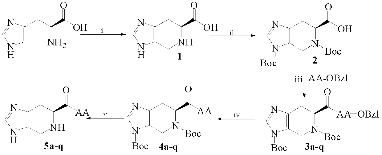 Amino acid modified spinacin derivative and preparation method and application thereof