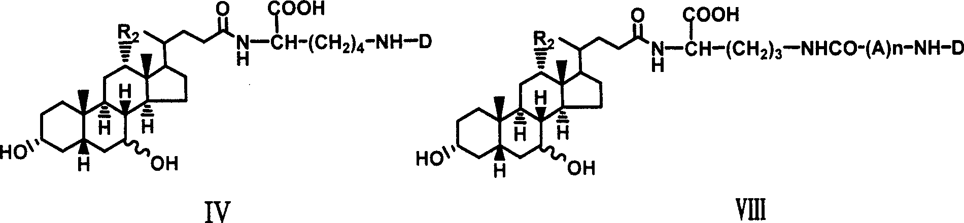 Novel coupling compound of bile acid and anti-hepatitis virus medicament and medical use thereof