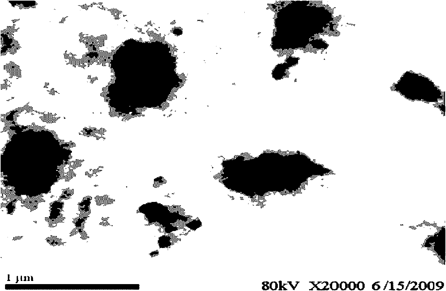 Preparation method of small unilamellar vesicle liposome of ivermectin