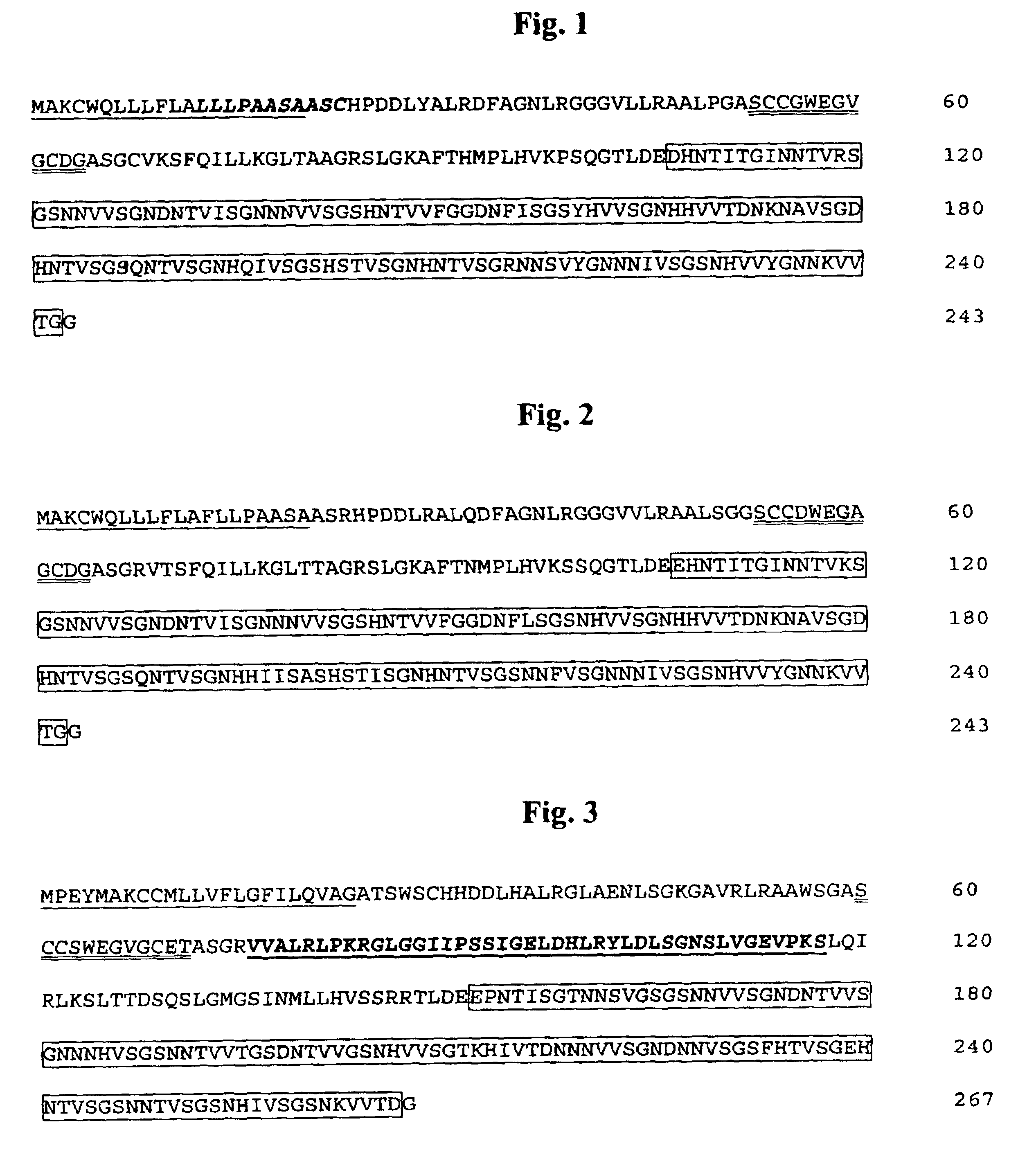 Antifreeze proteins isolated from forage grasses and methods for their use