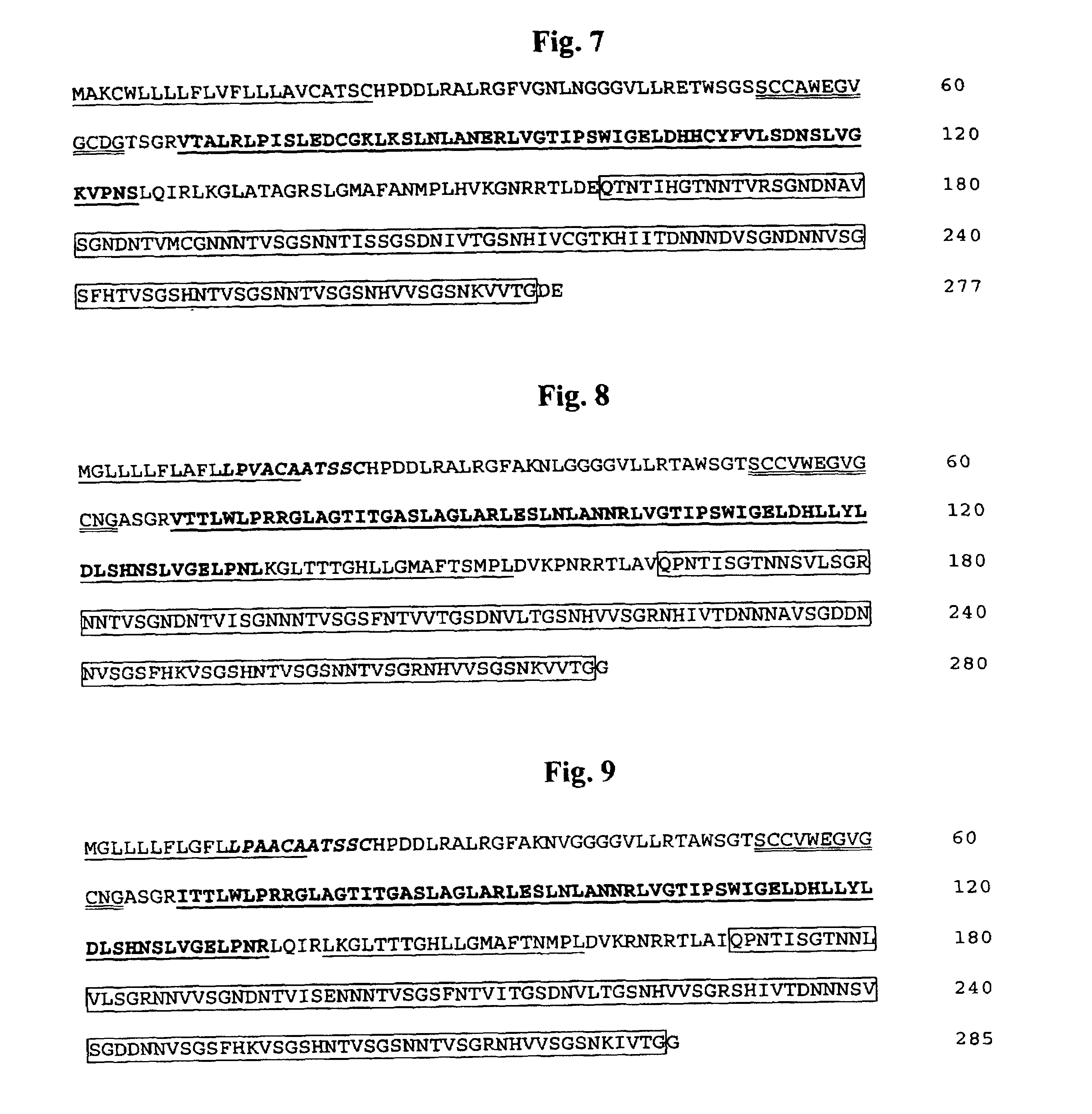 Antifreeze proteins isolated from forage grasses and methods for their use