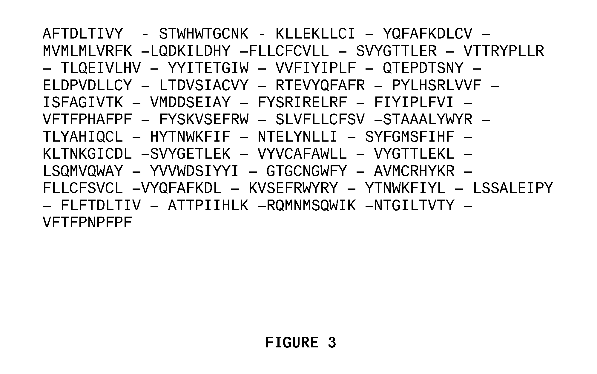 HPV polyepitope constructs and uses thereof