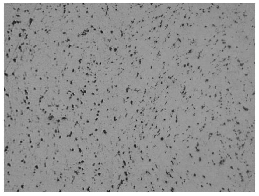 Biodegradable medical zinc-tin alloy as well as preparation method and application thereof