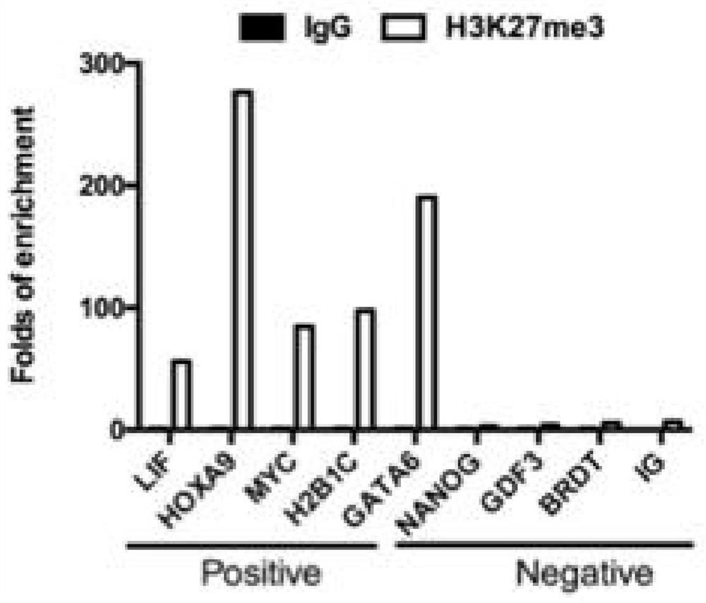 Sperm chromatin co-immunoprecipitation method