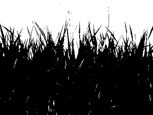 Rice seedling toughening matrix and production method thereof