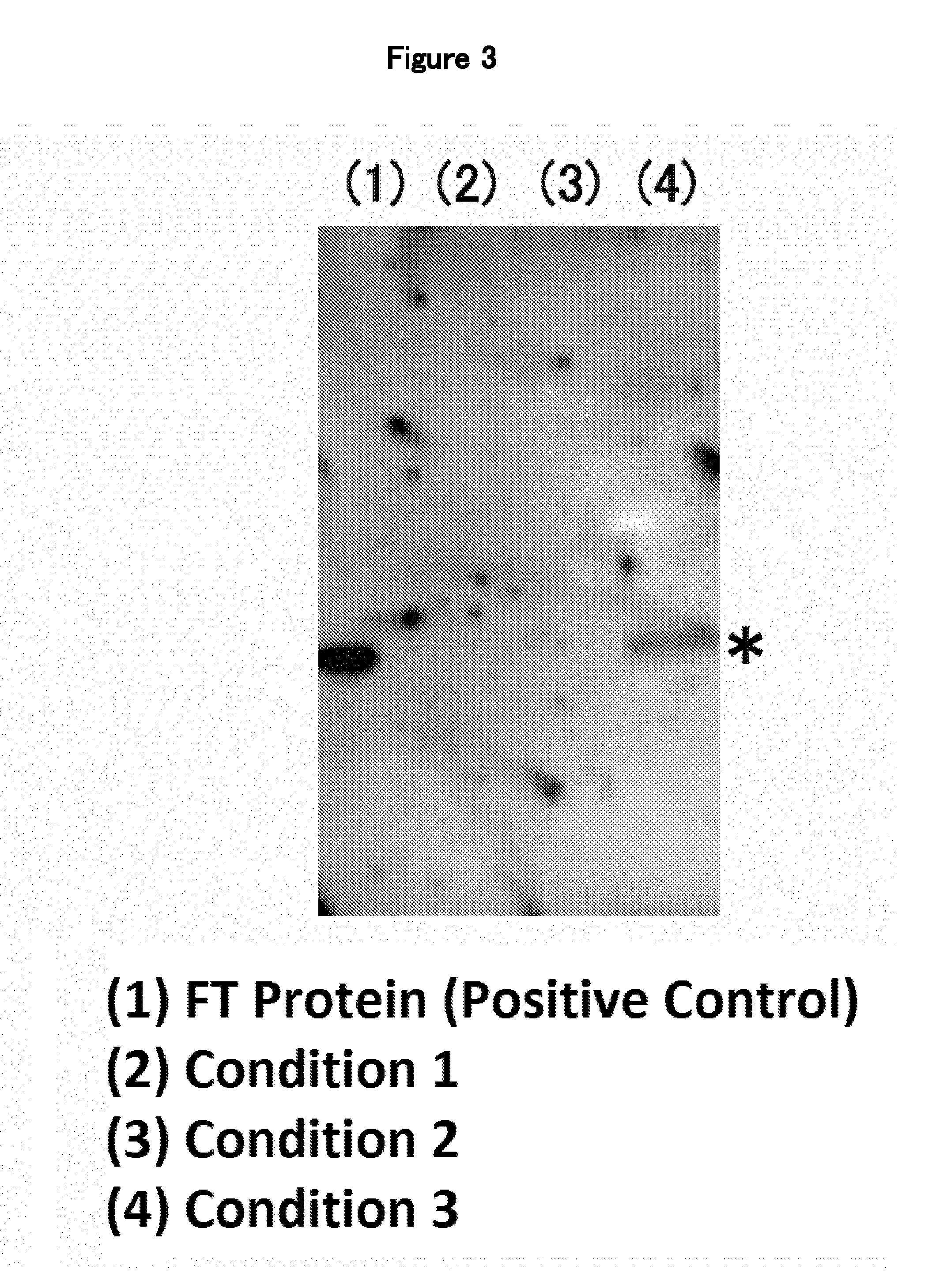 Treating agent for plant cell walls, substance delivery method using treating agent, and substance delivery system