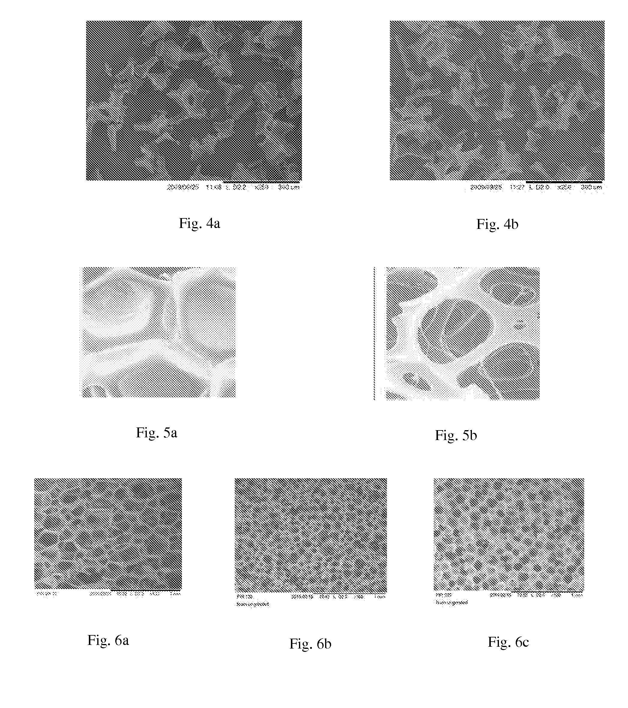 Liquid detergent composition with abrasive particles