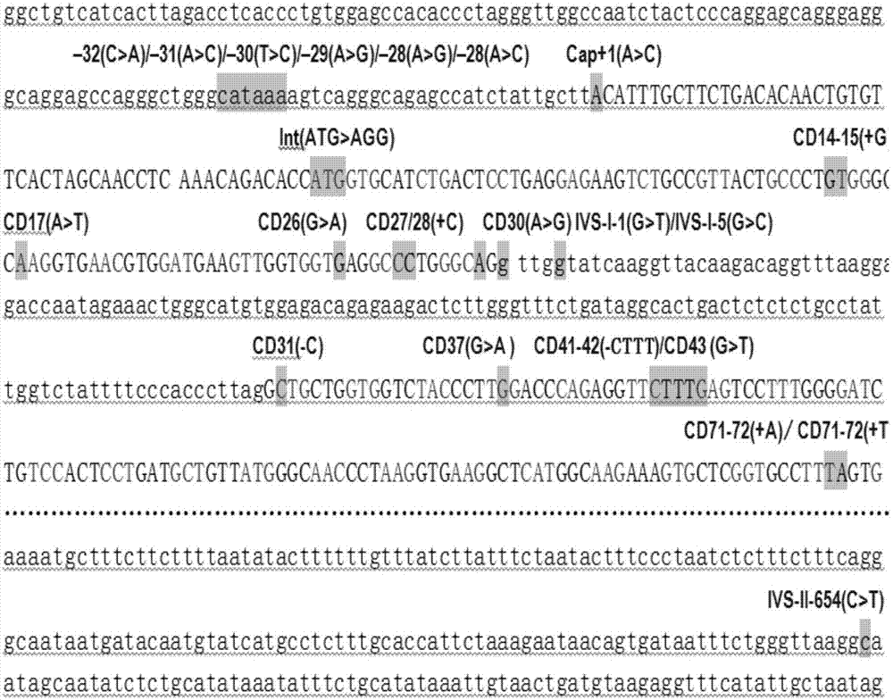 Target sequence complementary quenching probe and kit for detecting beta globin gene point mutation