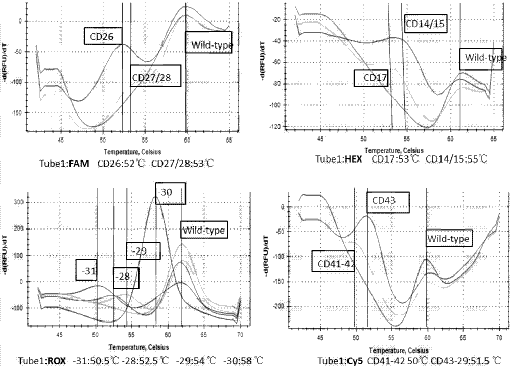 Target sequence complementary quenching probe and kit for detecting beta globin gene point mutation