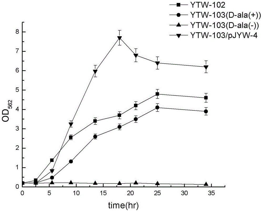 A coryneform expression system independent of antibiotics as selection pressure