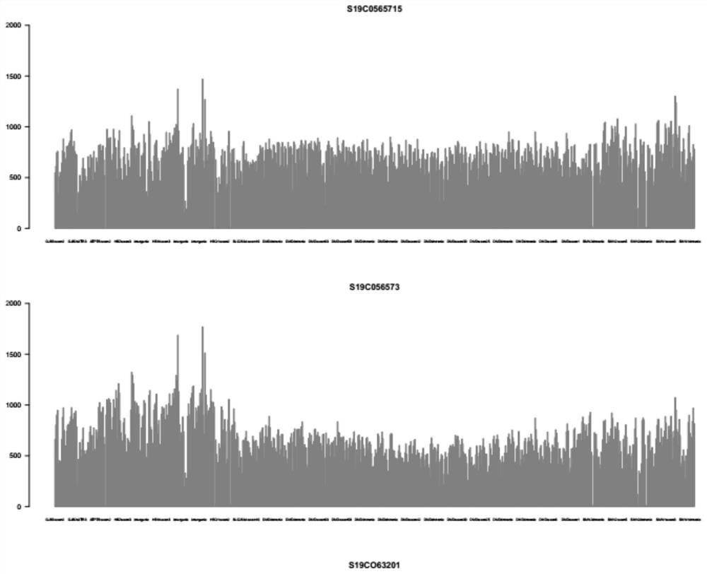 Probe set and kit for detecting alpha thalassemia and beta thalassemia related pathogenic genes