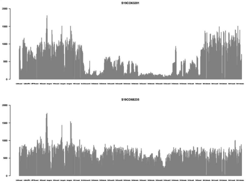 Probe set and kit for detecting alpha thalassemia and beta thalassemia related pathogenic genes