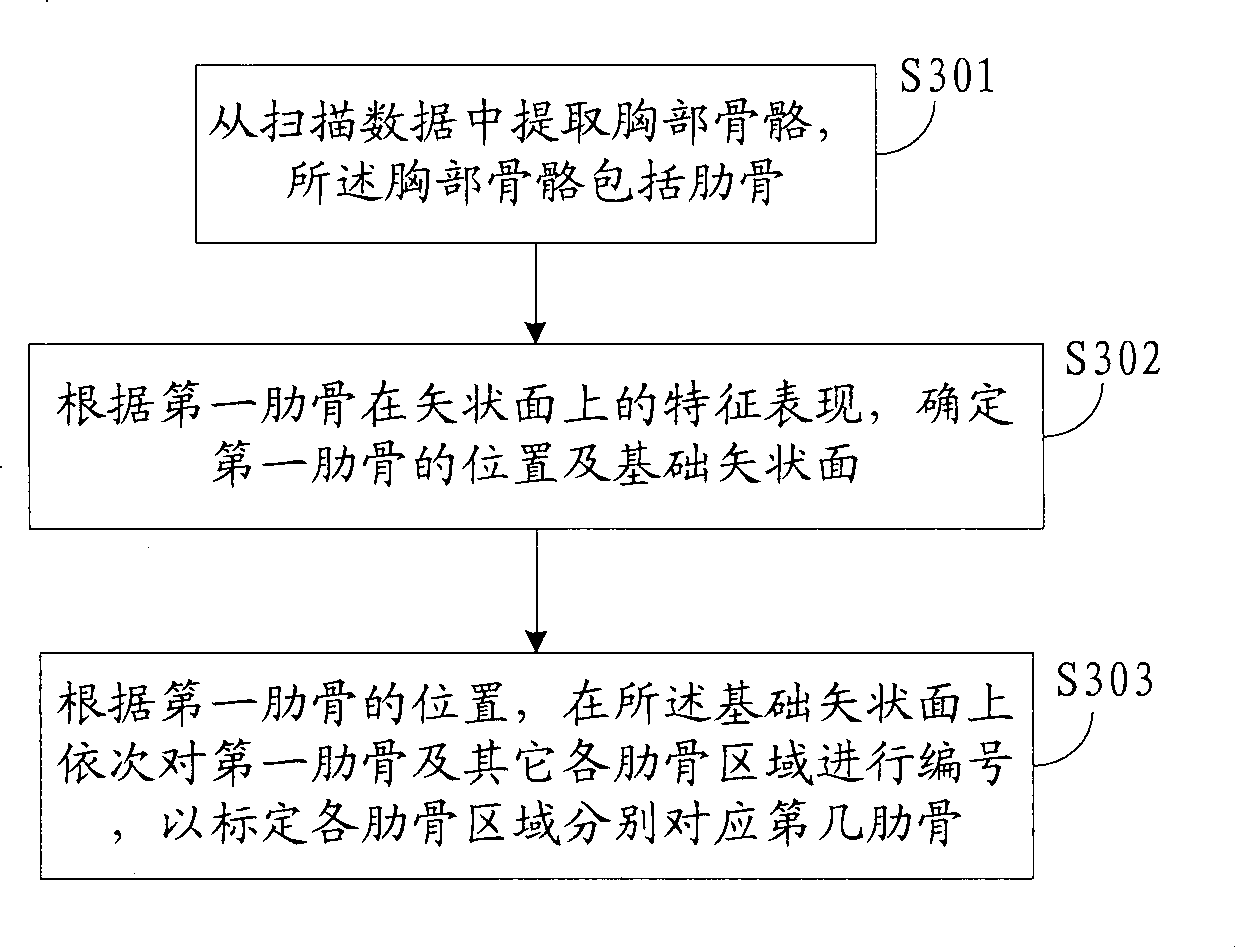 Rib auto-demarcating method and device