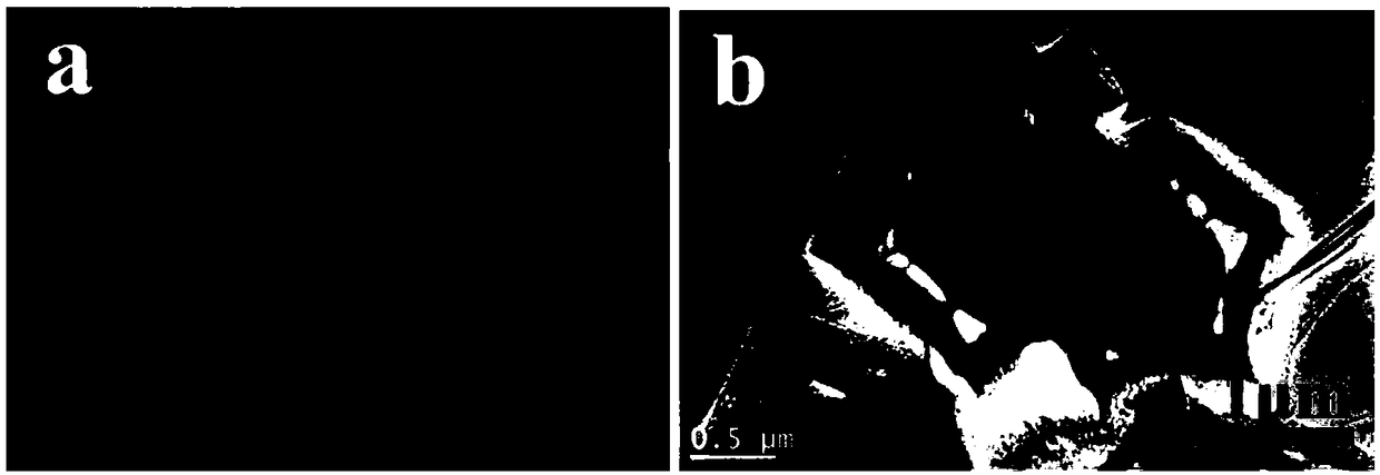 Double-shell-layer and yolk-shell-layer nitrogen-doped hollow porous carbon and preparation methods thereof and application thereof