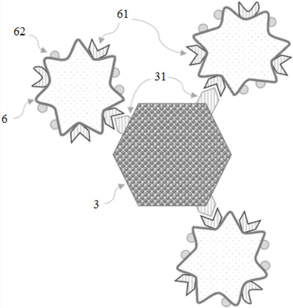 In-vivo enrichment device for circulating tumor cells