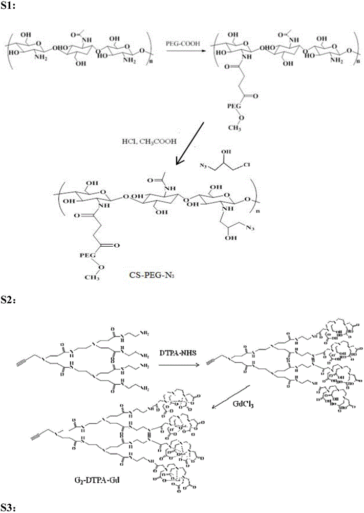 MRI contrast agent taking chitosan derivative as carrier and preparation method