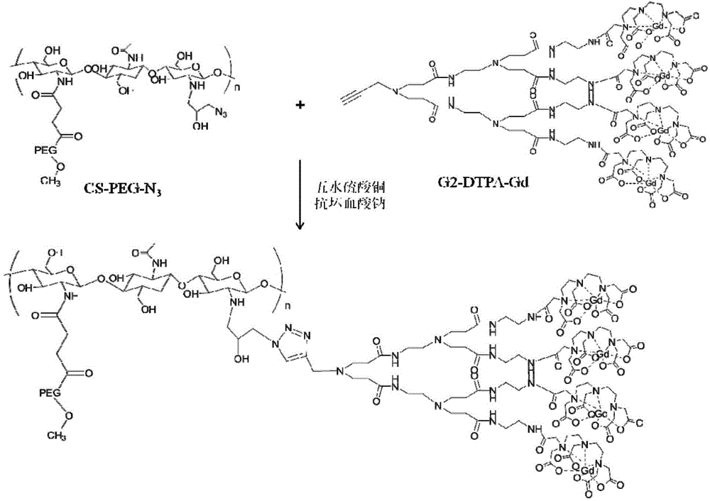 MRI contrast agent taking chitosan derivative as carrier and preparation method