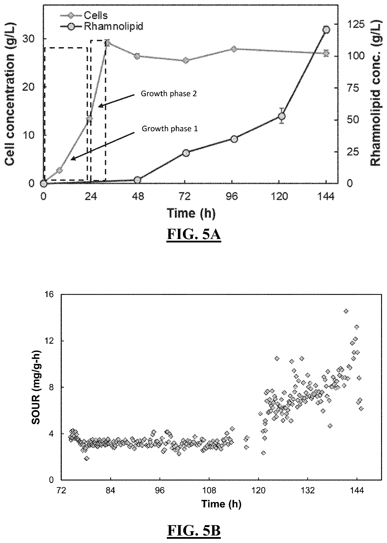 Production of fermentation products containing rhamnolipids