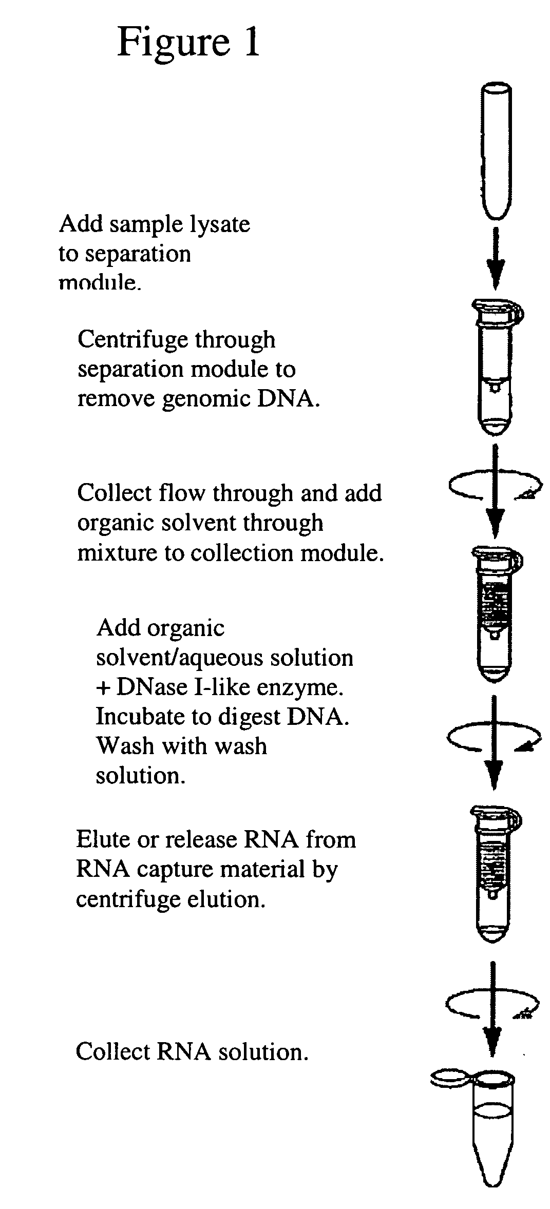 Methods of using a DNase I-like enzyme