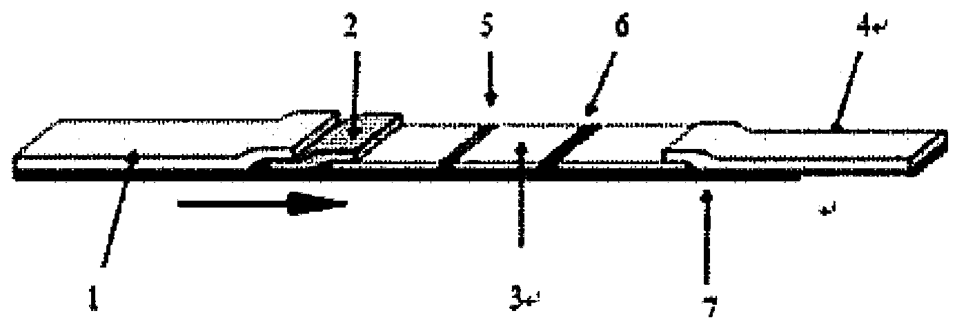 Sample pad processing liquid, H7 subtype avian influenza virus colloidal gold test strip and preparation method thereof