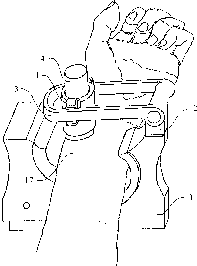 Radial pulse wave detection device