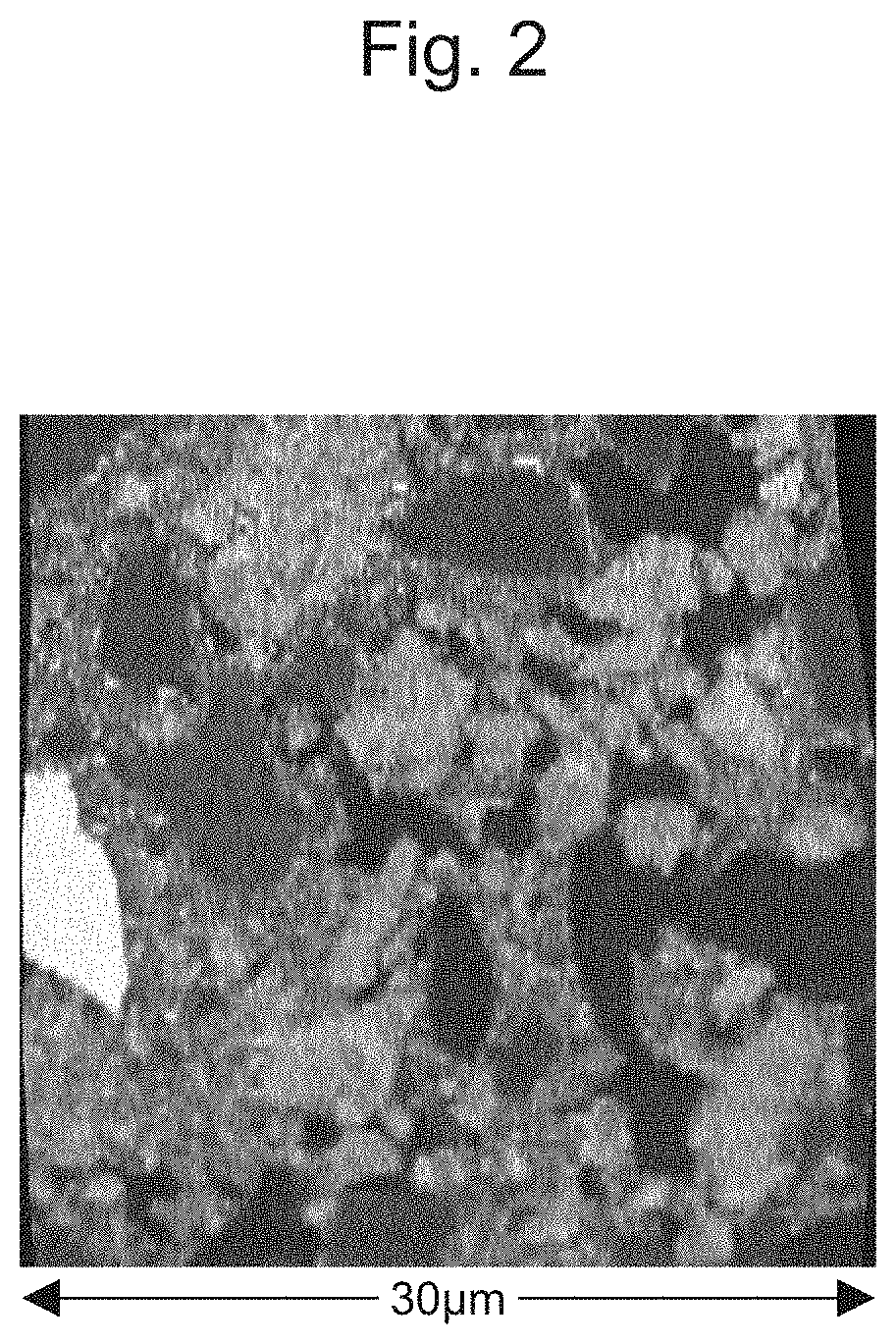 Exhaust gas purification catalyst