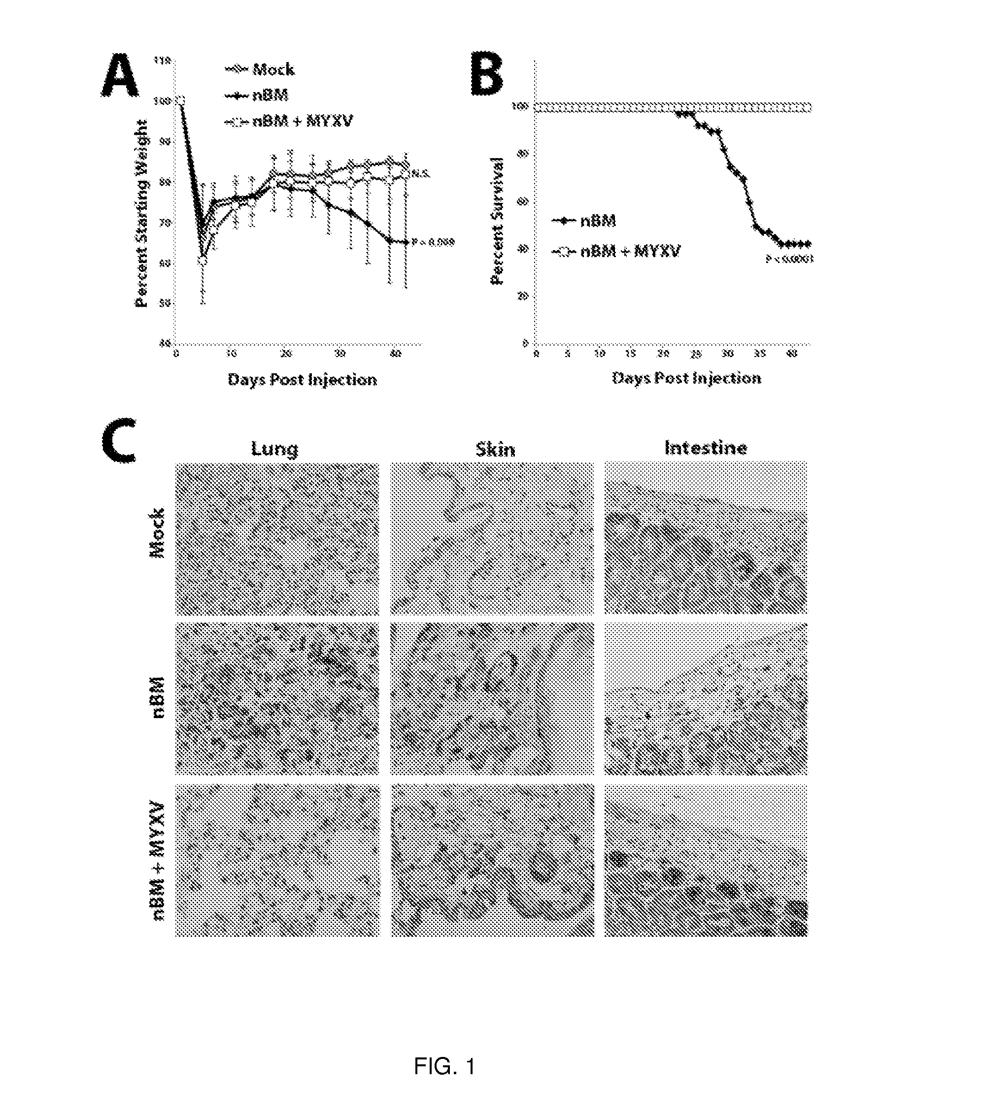 Method for Treating or Preventing Graft Versus Host Disease