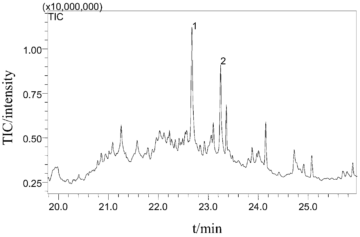 Classification method of salmonella strains by using whole-cell fatty acid