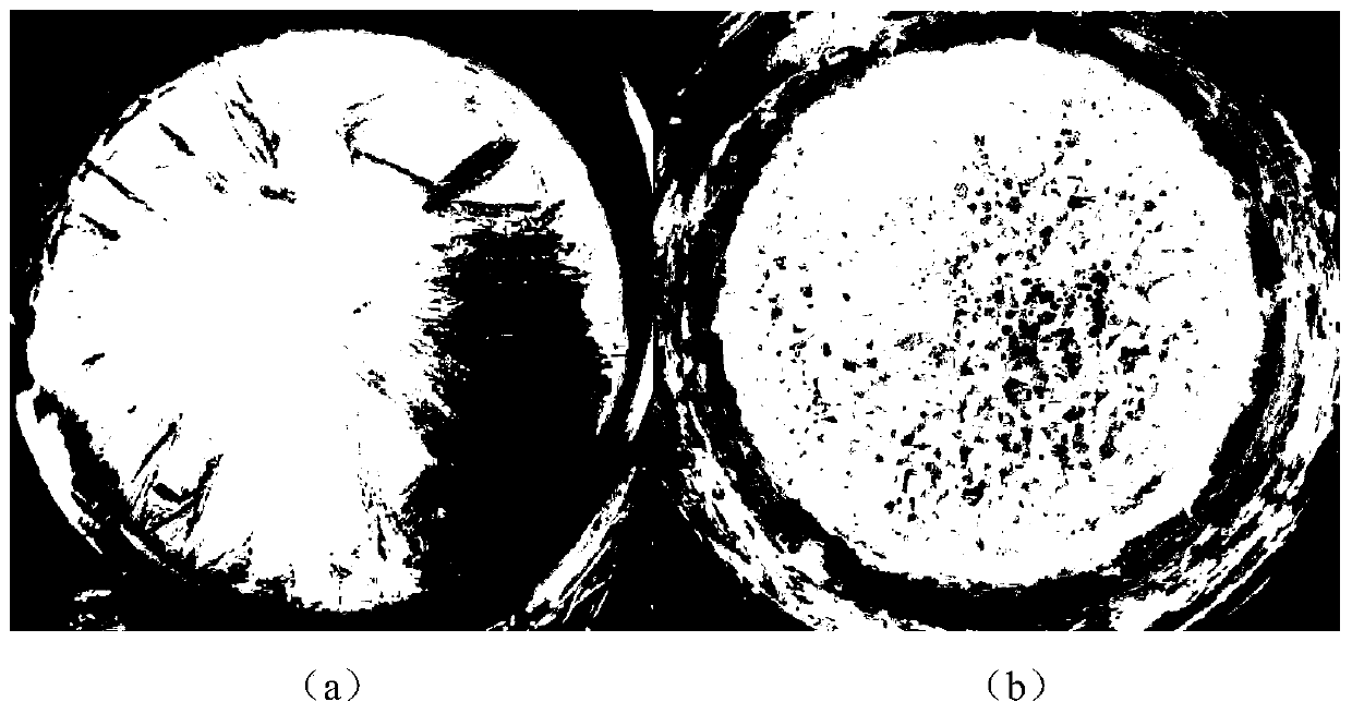 Tremella fuciformis strain and application thereof in tremella polysaccharide production