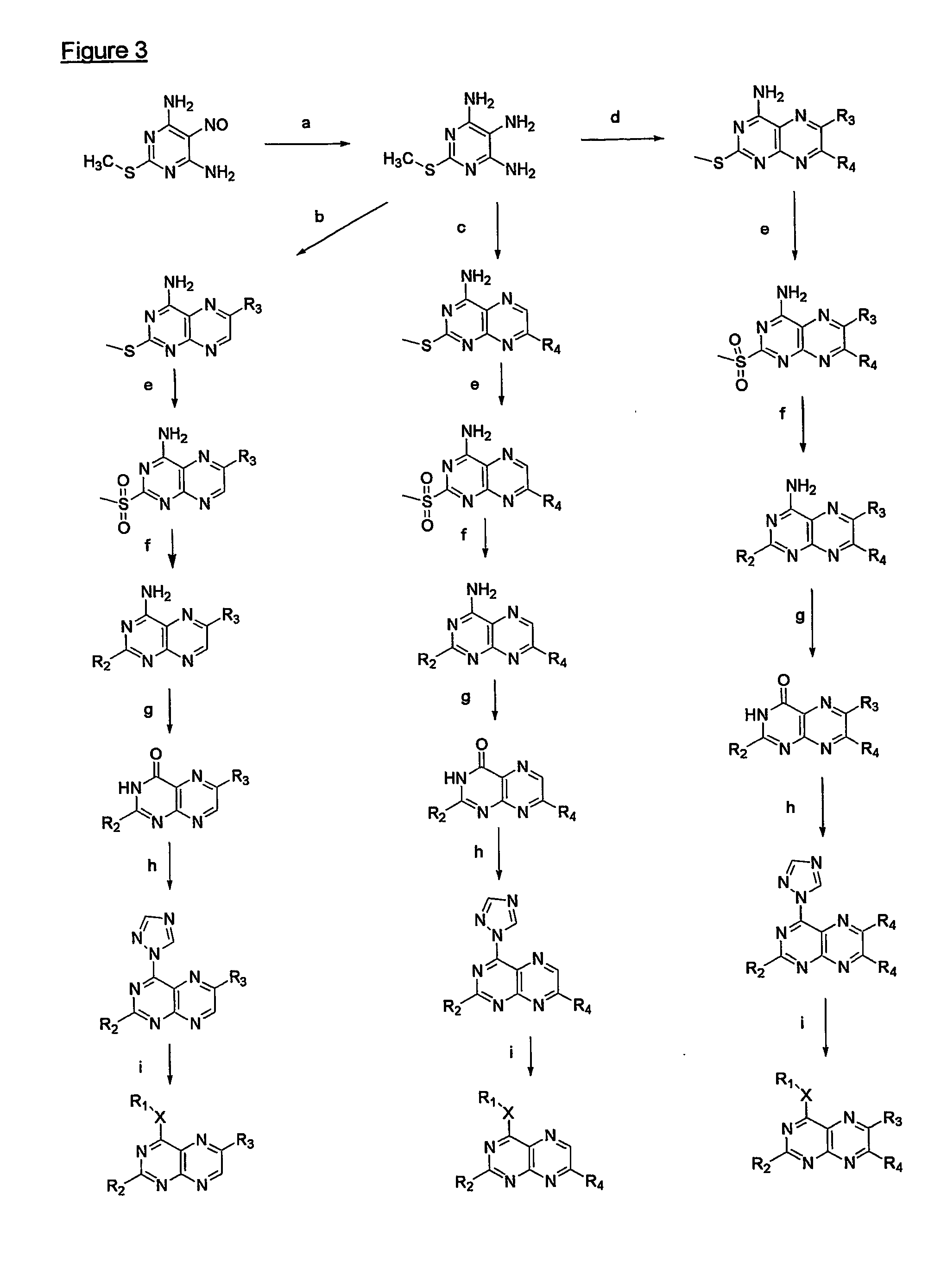 Immunosuppressive effects of pteridine derivatives