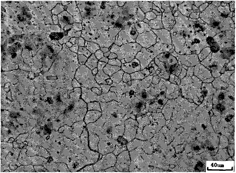 High aluminum zinc alloy etching agent and use method thereof