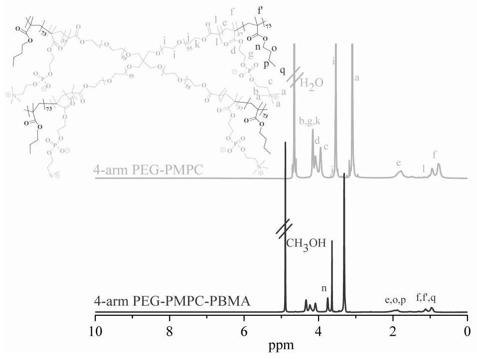 Star polymer drug carrier and preparation method thereof