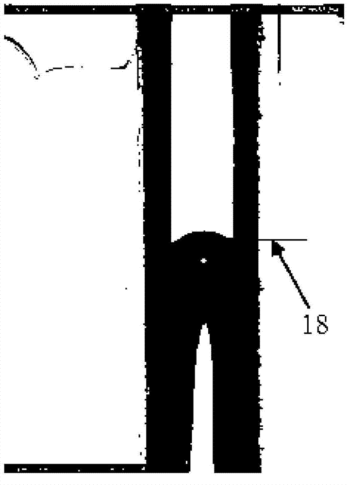 Device for measuring slip velocity under micro-scale and measurement method