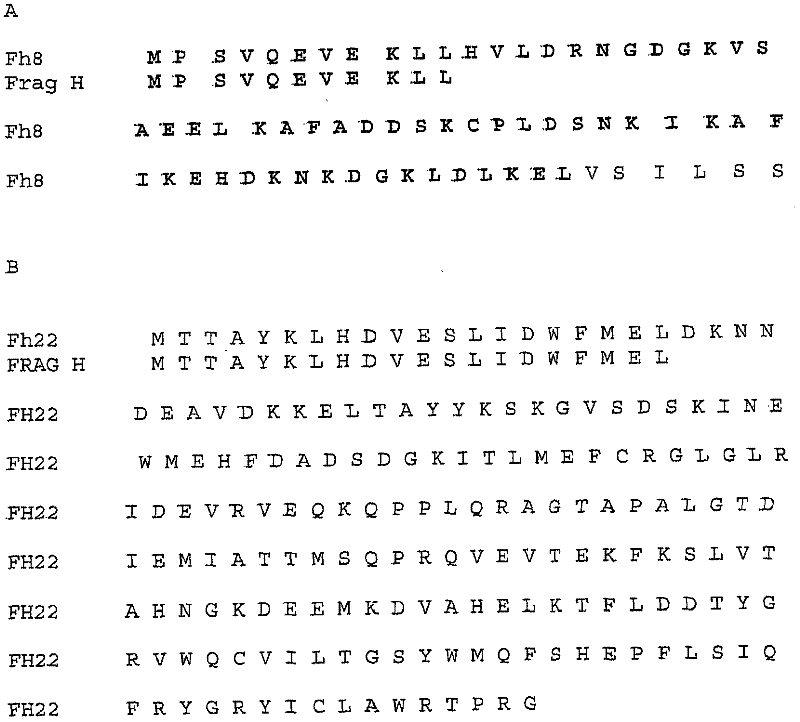 Fusion proteins the process to preparation and utilization in expression systems of recombinant proteins