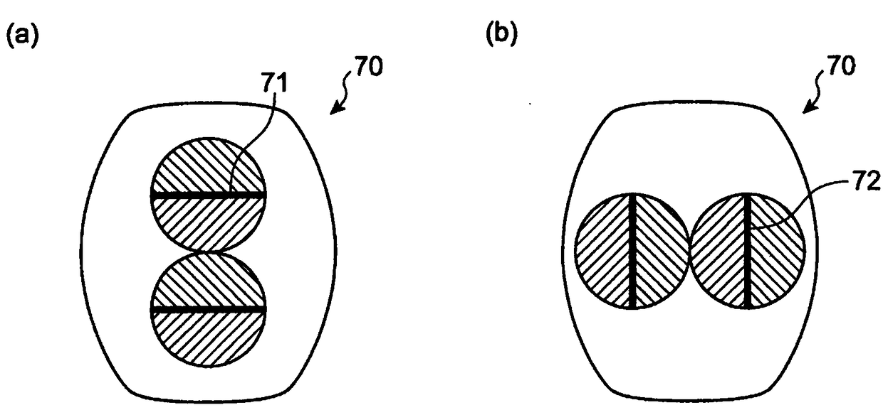 Injection molding apparatus and injection molding method