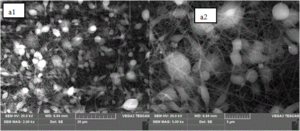 A method for preparing PVDF lithium-ion battery separators by electrospinning