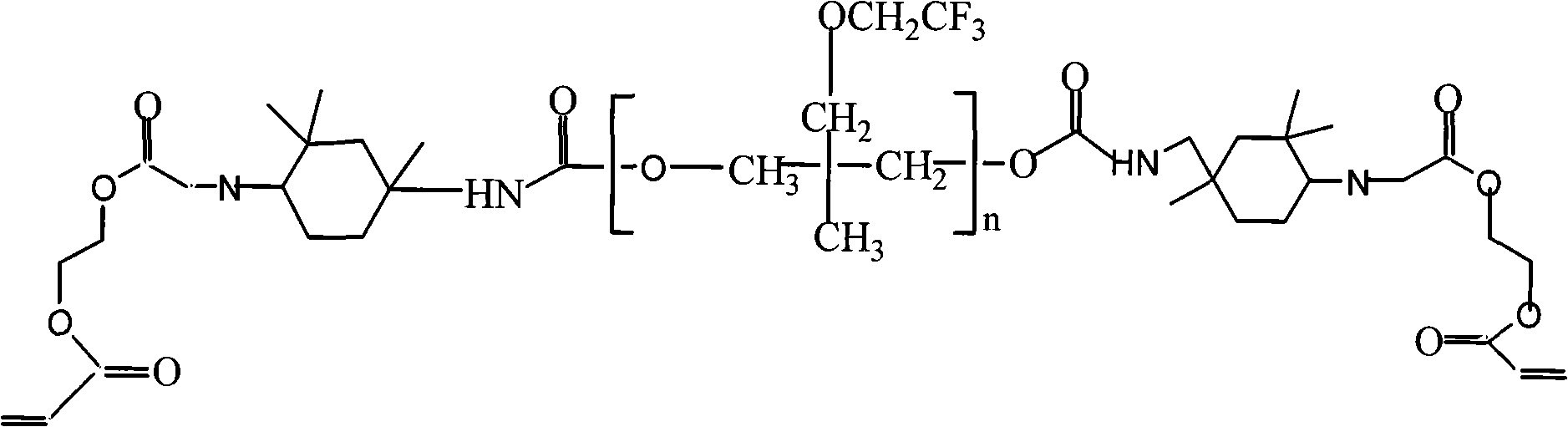 Ultraviolet cured paint composition and preparation thereof