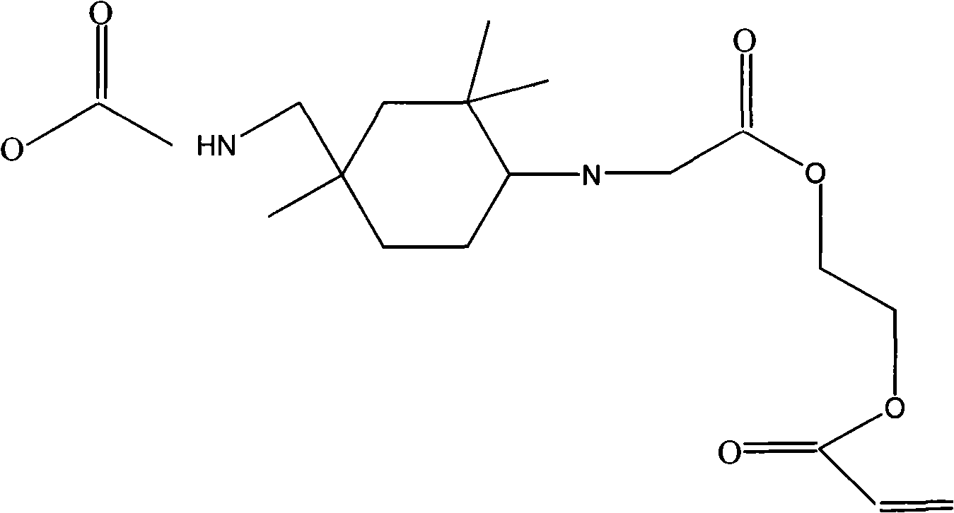 Ultraviolet cured paint composition and preparation thereof