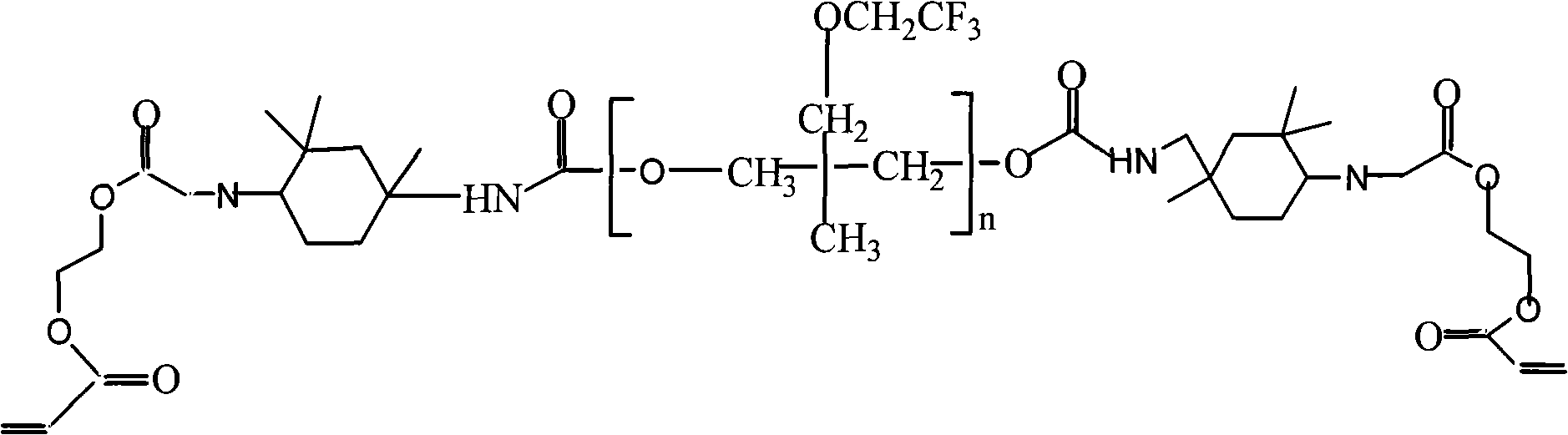 Ultraviolet cured paint composition and preparation thereof