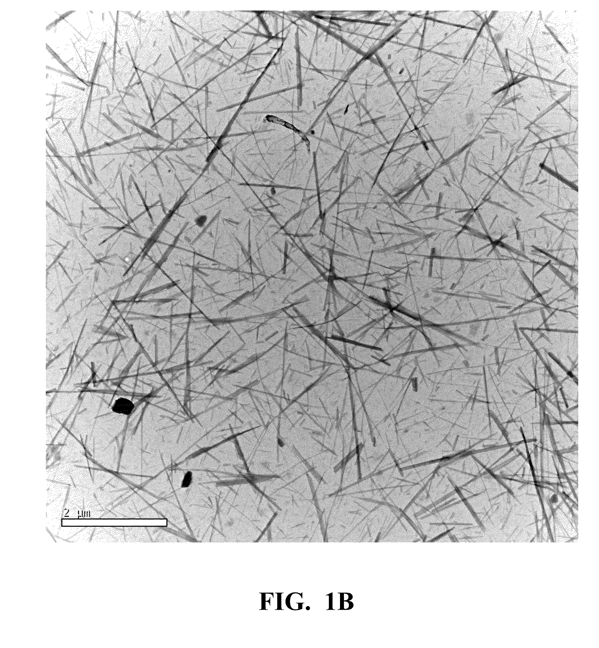 Chitosan films with reduced shrinkage and laminates made therefrom