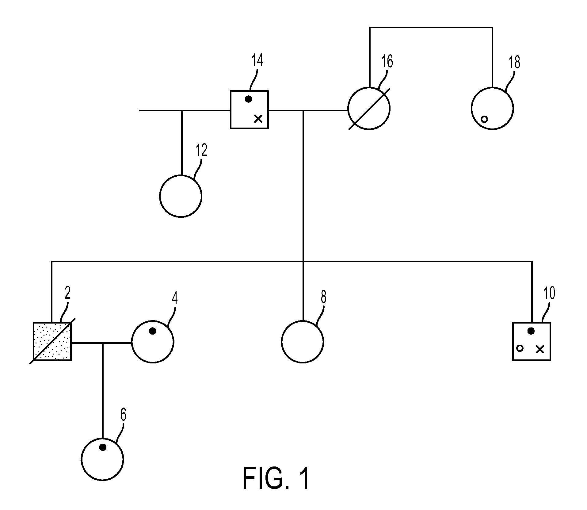 Automated decision support for associating an unknown biological specimen with a family