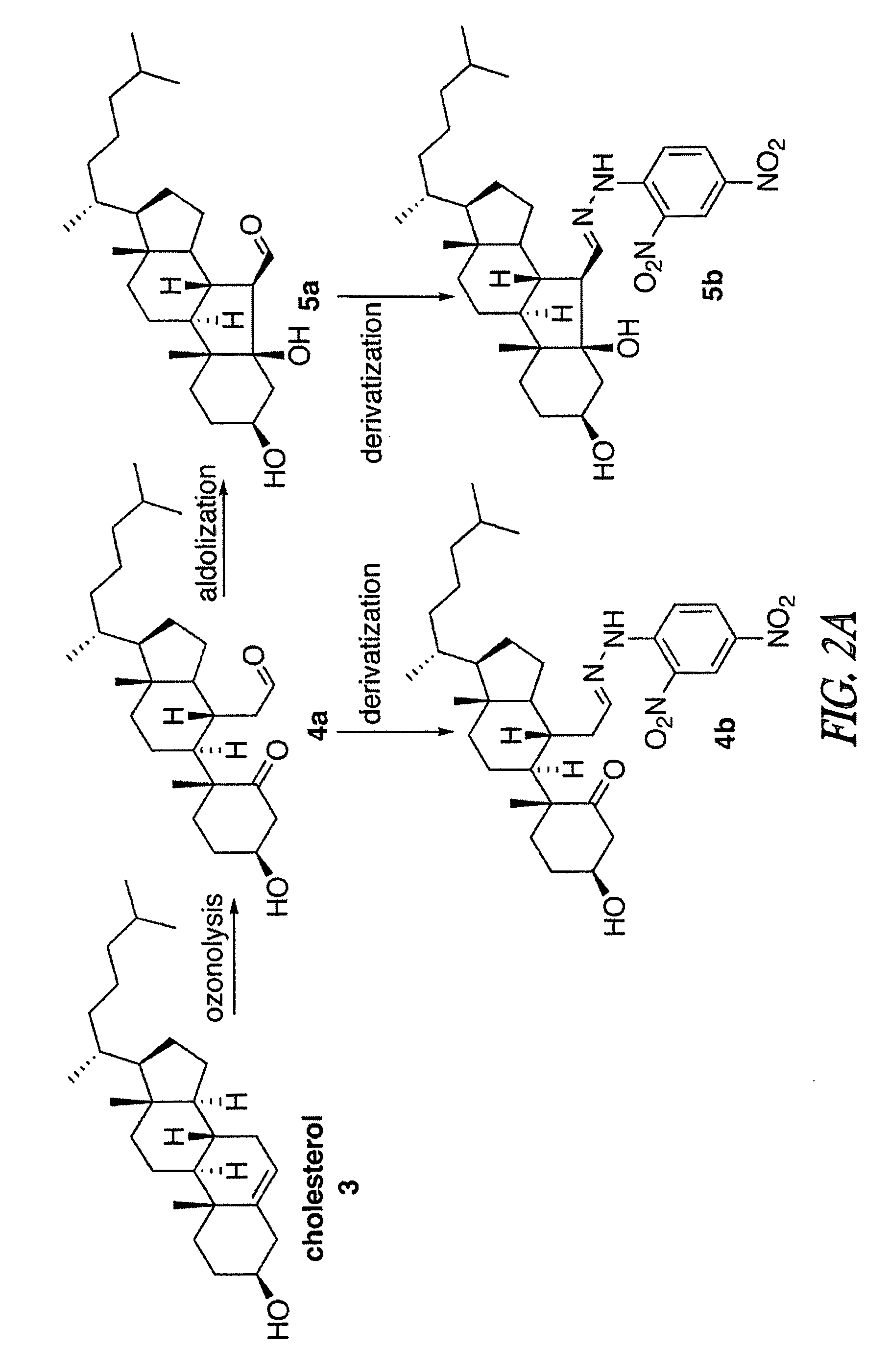 Methods to identify therapeutic agents