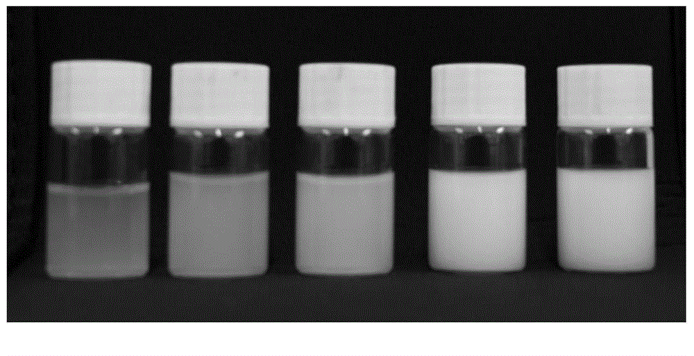 Magnetic nanohydrogel and preparation method thereof